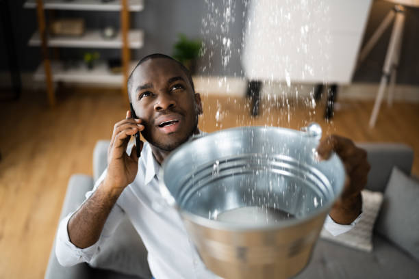 Best Water damage restoration company  in Morris Plains, NJ