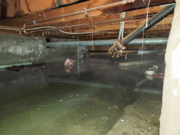 Best Water damage restoration cost  in Morris Plains, NJ
