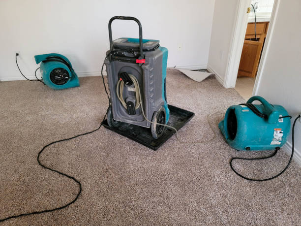 Best Residential water damage restoration  in Morris Plains, NJ