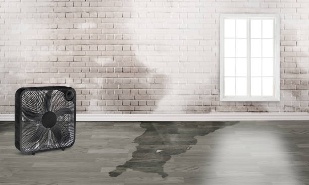 Best 24-hour water damage restoration  in Morris Plains, NJ