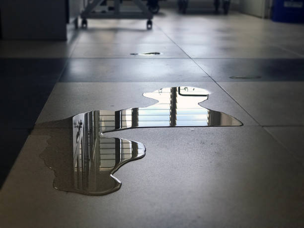Best Water damage cleanup near me  in Morris Plains, NJ
