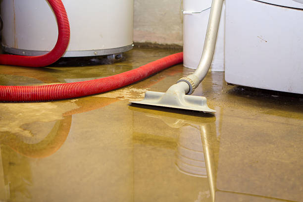 Best Commercial water damage restoration  in Morris Plains, NJ