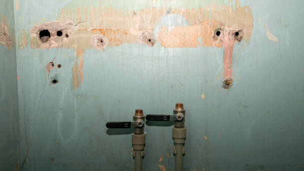 Best Carpet water damage restoration  in Morris Plains, NJ