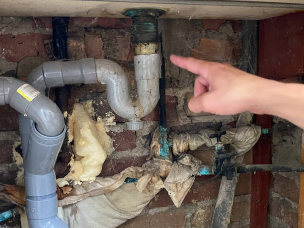 Best Flooded house restoration  in Morris Plains, NJ